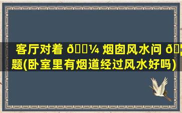 客厅对着 🌼 烟囱风水问 🦁 题(卧室里有烟道经过风水好吗)